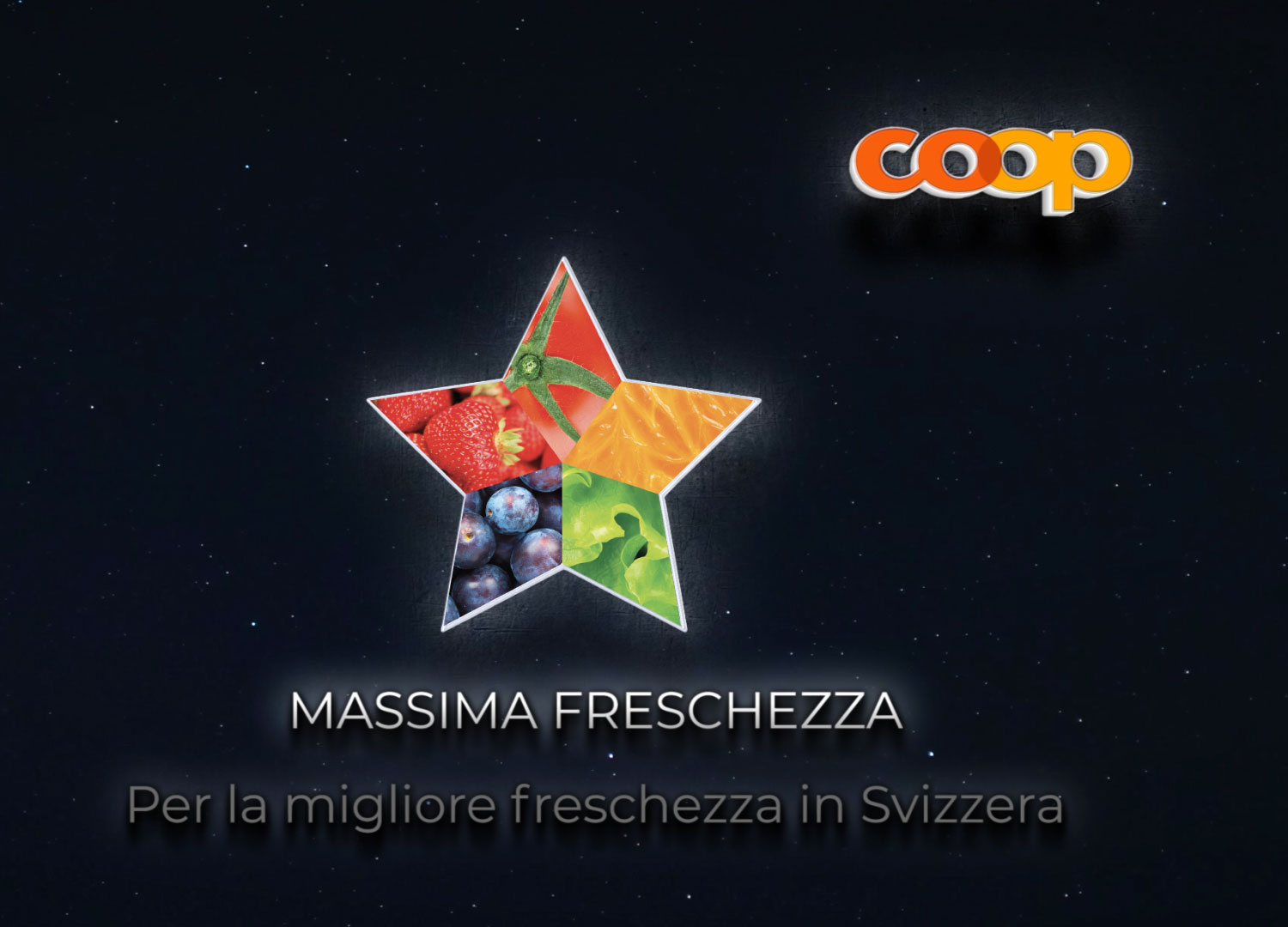 Massima-Frezzessa